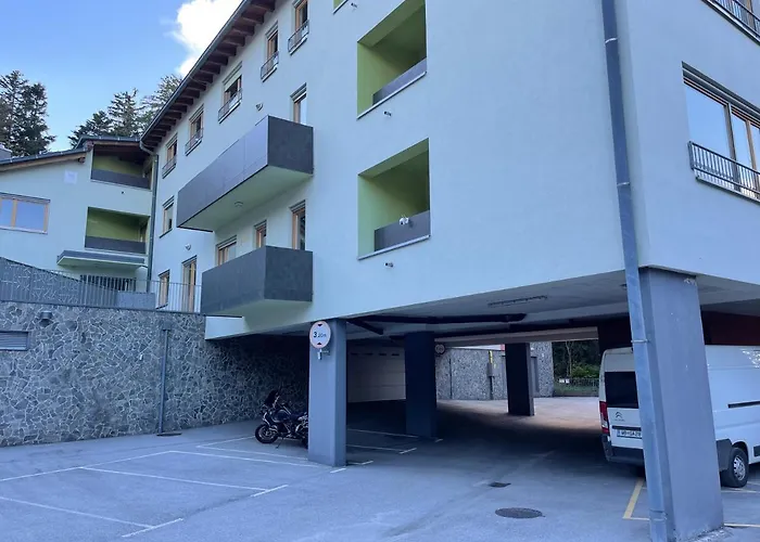 Luxury 3-room Large Maribor Pohorje ホコ・ポホリェ